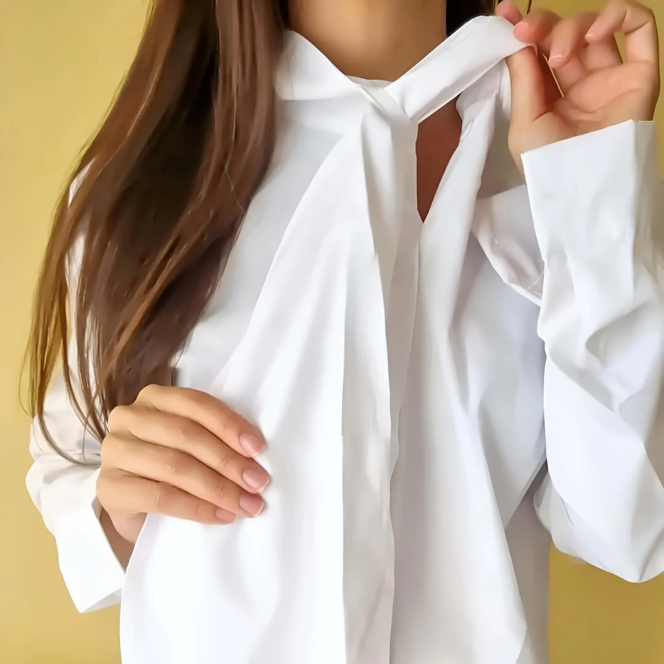 Stylish Long Sleeve High Neck Blouse